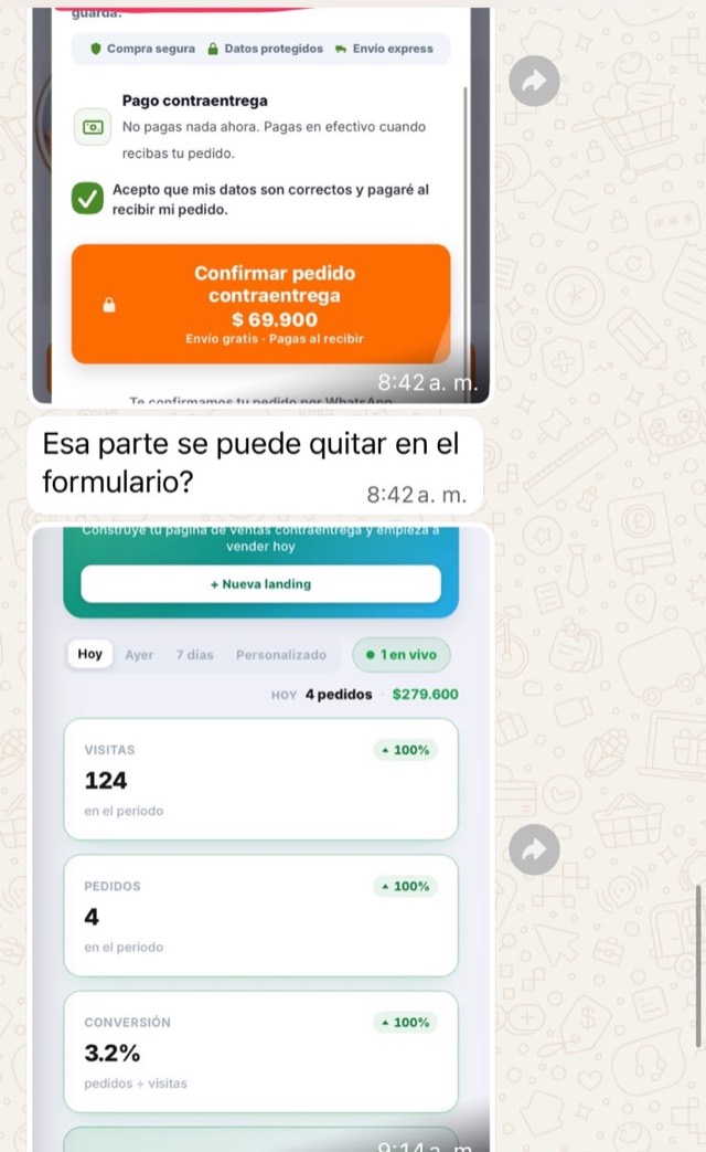 Cliente ajustando su página con el equipo